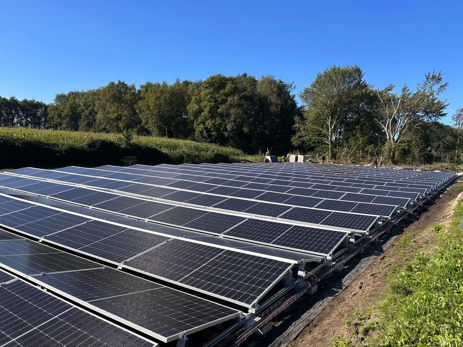 Veldproject Alphen