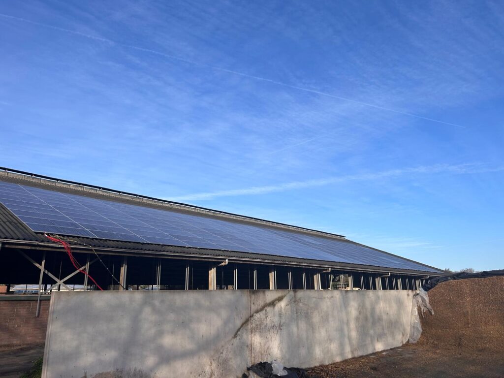Project Oosterhout